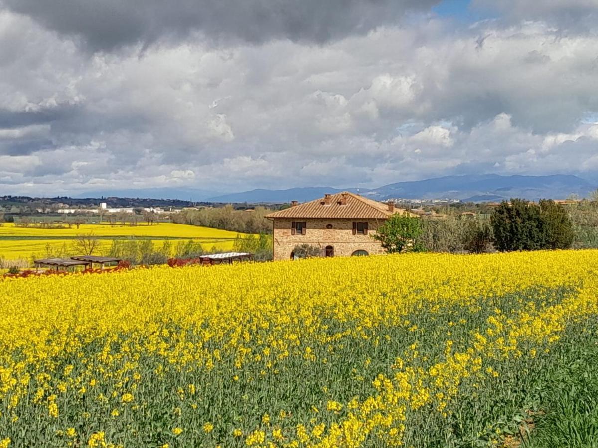 Podere Molinaccio Panicale Exterior foto